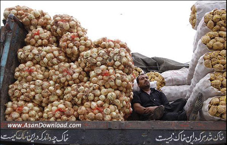 دل نوشته هایی بر بدنه خودروها