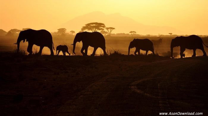 عکسهای زیبا و دیدنی از آفریقا