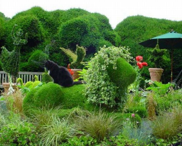 تصاویر زیبا از یک باغ شگفت انگیز!