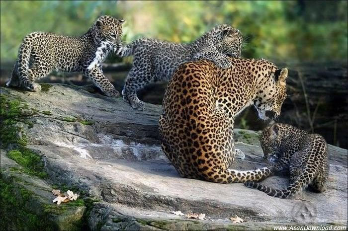 دیدنی های قشنگ روز - قسمت سی و نهم