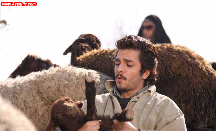 عکس های سریال وضعیت سفید