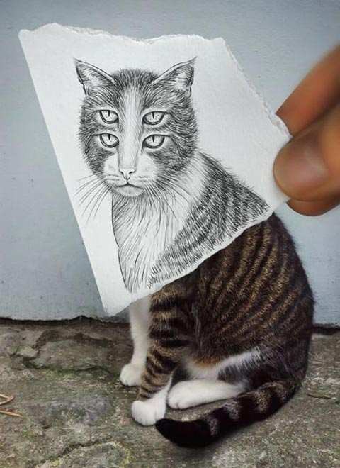 هنر عکاسی و طراحی با مداد