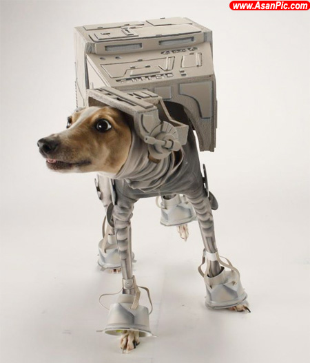 تصاويری خلاق از لباس زرهی برای سگ