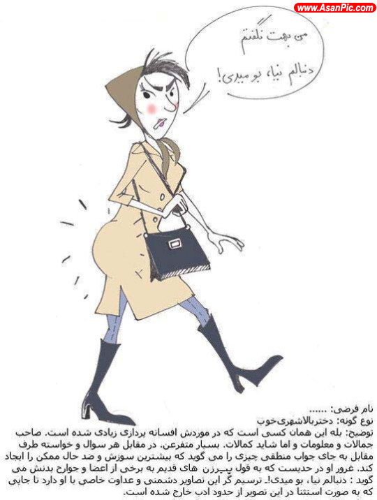 كاريكاتور انواع زن در ايران