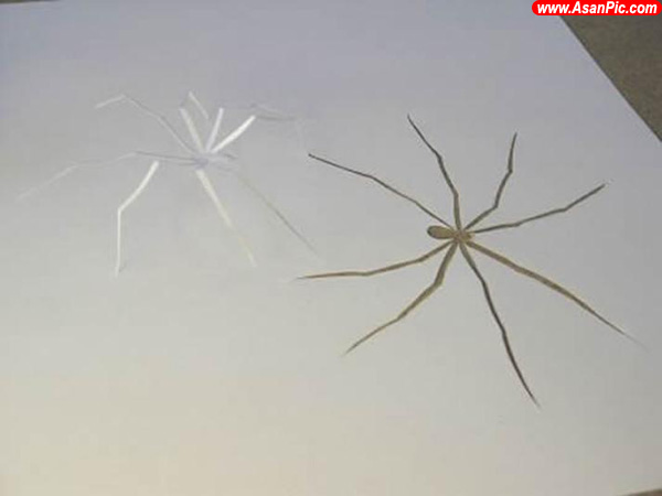 تصاویری از هنرنمایی با کاغذ!