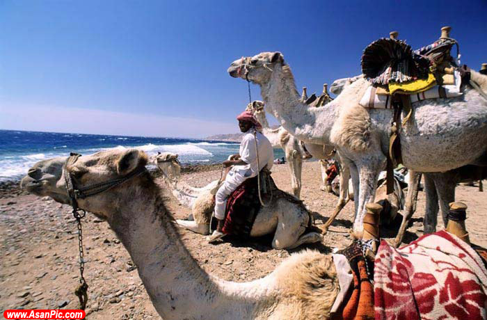 زیبایی های تاریخی مصر باستان