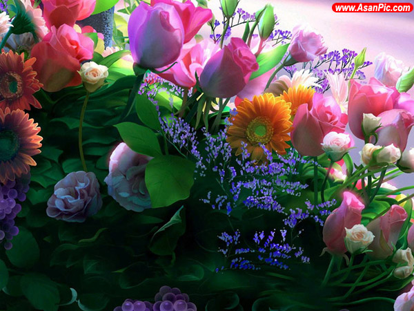 عکس های زیبا از گل ها - قسمت دوم