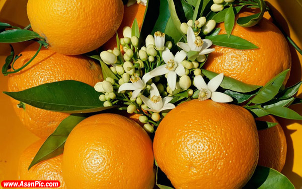 عکس هایی زیبا از میوه های خوشمزه - قسمت دوم