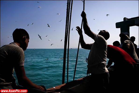 تصاويری از صید ماهی و میگو در جزیره قشم