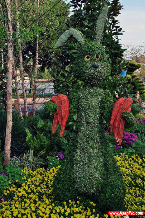 جشنواره طراحی های شگفت انگیز گل و گیاه در فلورید