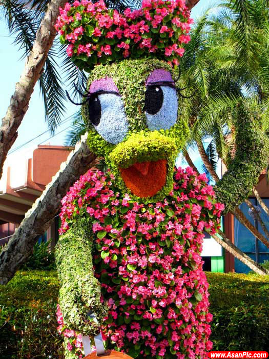 جشنواره طراحی های شگفت انگیز گل و گیاه در فلورید