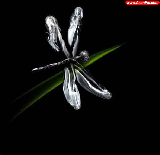 تصاويری از هنرنمایی با کبریت سوخته