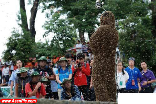 مسابقات عجیب جذب زنبور در چین