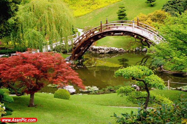 زیباترین باغچه های دنیا 