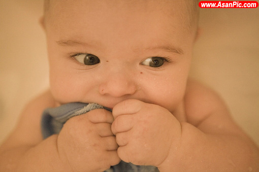 تصاویری از نی نی های ناز و کوچولو - قسمت پنجم