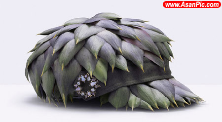 تصاویری از اشياء خوراکی