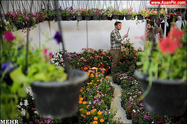گزارش تصویری نمایشگاه بین المللی گل و گیاه