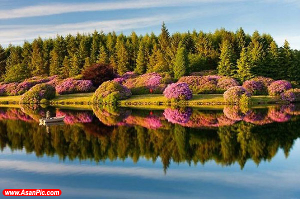 تصاویری از انعکاس اعجاب انگیز آب