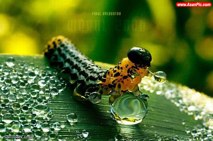 عکس های بسیار زیبای هنری