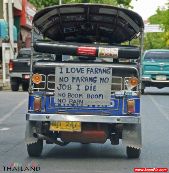 فقط در تایلند (سوژه های دیدنی)