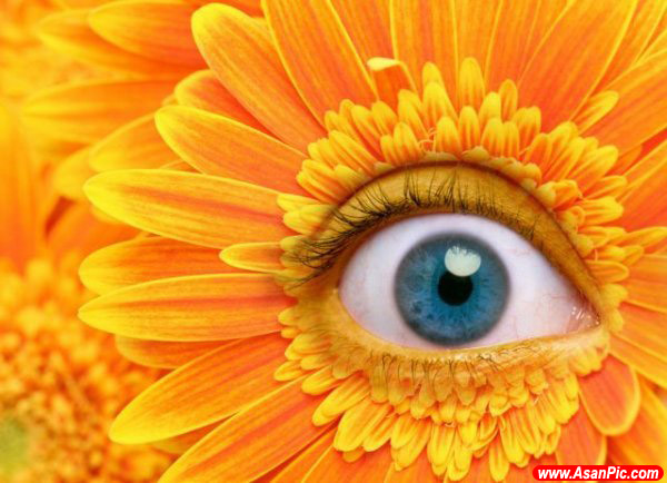 تصاوير بسیار زیبای فتوشاپی - قسمت پنجم