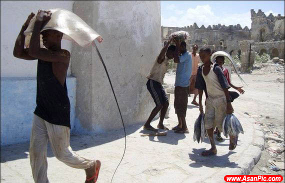 عکس هایی از ماهیگیری در سومالی