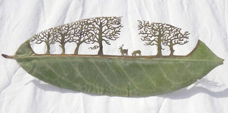 هنرنمایی با برگ درخت