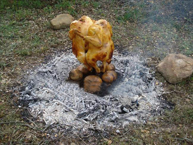 کباب جنگلی، یک رقیب جدی برای اکبر جوجه!