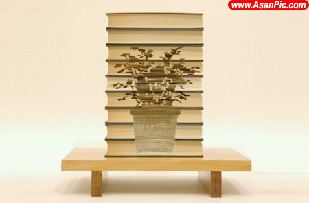 آثار هنری جذاب حک شده بر روی کتاب