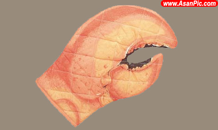 تصاويری از دستگيره های اجاق در آشپزخانه