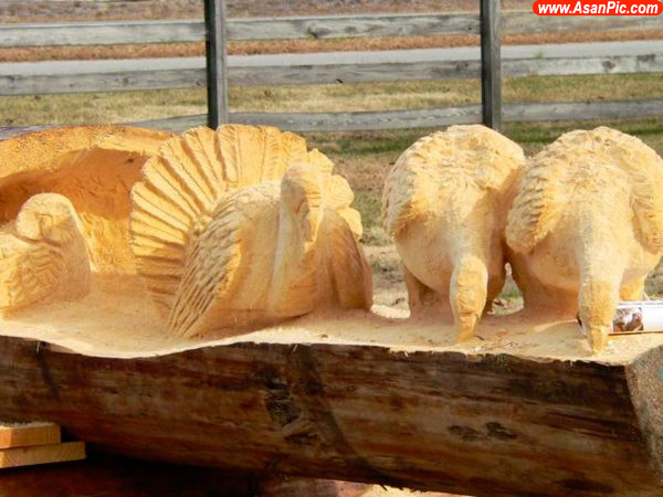 تصاویری جالب از مجسمه های ساخته دست انسان