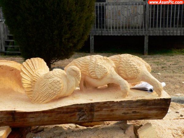 تصاویری جالب از مجسمه های ساخته دست انسان