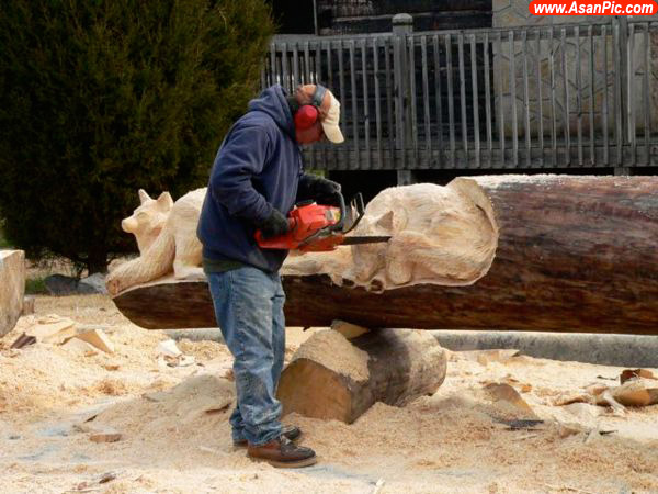 تصاویری جالب از مجسمه های ساخته دست انسان