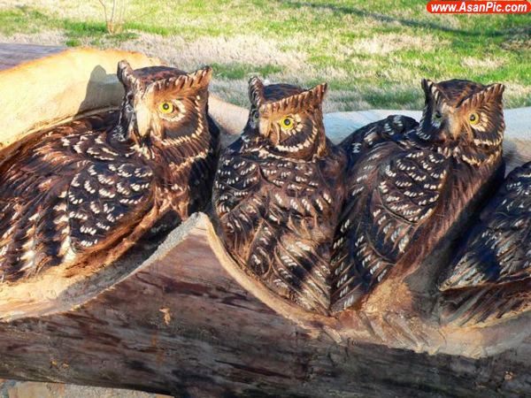 تصاویری جالب از مجسمه های ساخته دست انسان
