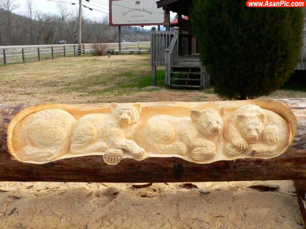 تصاویری جالب از مجسمه های ساخته دست انسان