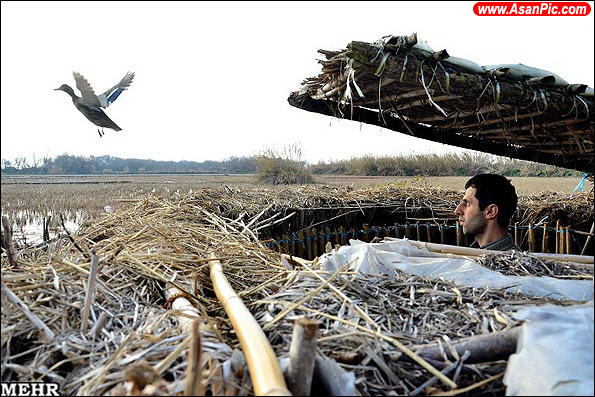 گزارش تصویری دوما ( دامگاه پرندگان وحشی)
