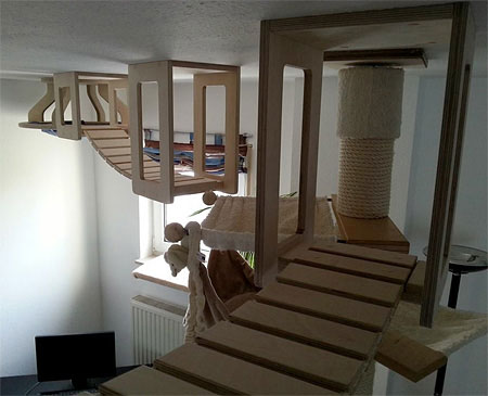 طراحی خانه برای گربه