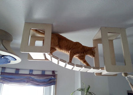 طراحی خانه برای گربه