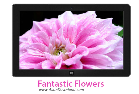 دانلود Fantastic Flowers - پوسته جذاب ویندوز های 7 , 8 و 8.1