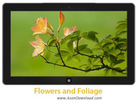 دانلود Flowers and Foliage - پوسته گل های تابستانی