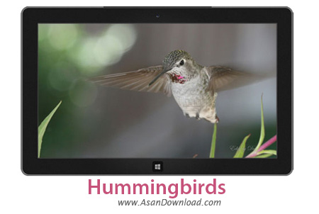 دانلود Hummingbirds - پوسته پرندگان برای ویندوز 7 و 8