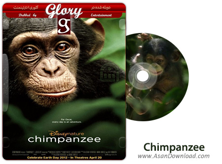 دانلود Chimpanzee 2012 - مستند شامپانزه (دوبله گلوری)